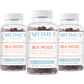 Sea Moss